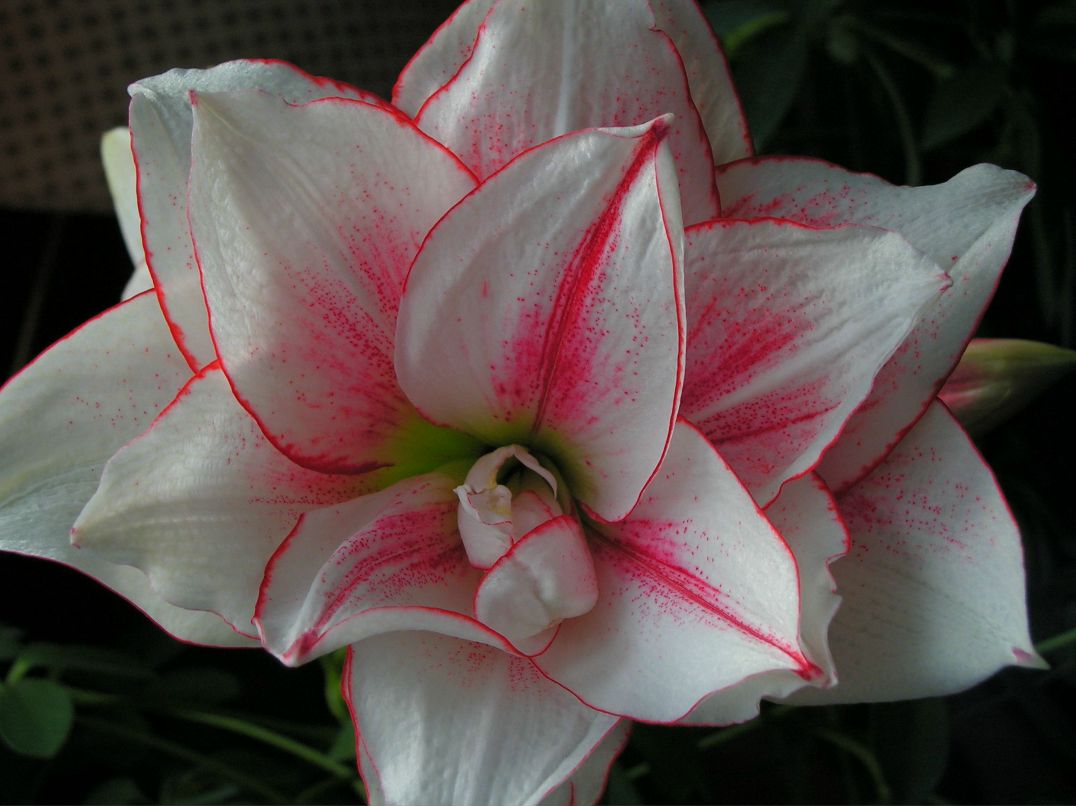 Евгения Немтарева | Казань