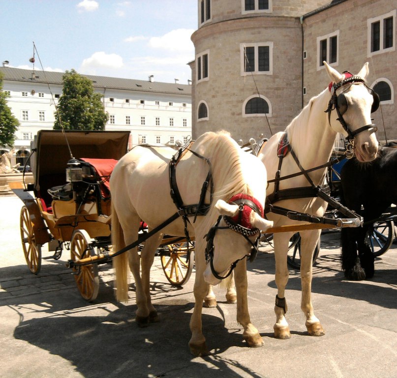 Людмила Арапова | Мурманск
