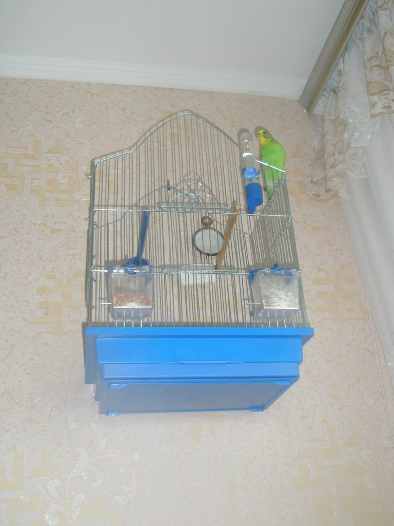 Наталія Жентичка | Москва