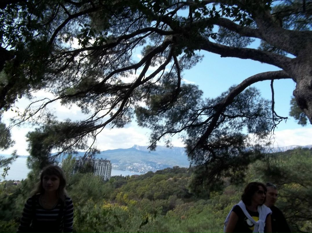 Алексей Зинюк | Бердянск