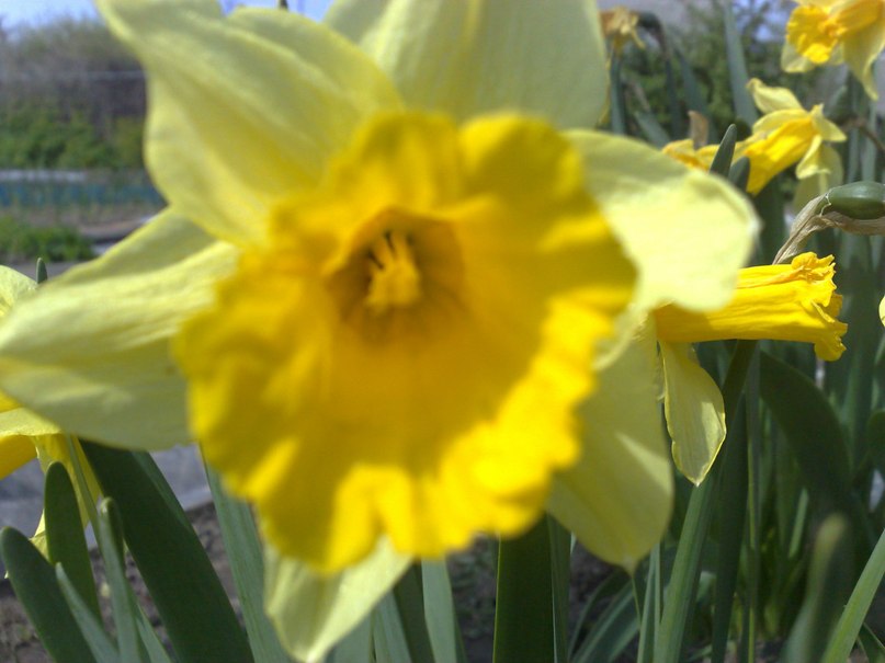 Алексей Яковлев | Москва