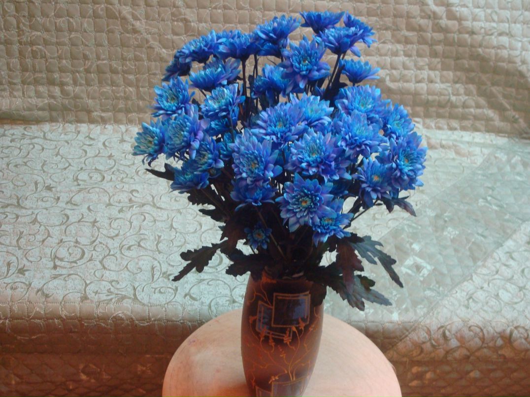 Наталья Кабаченко | 