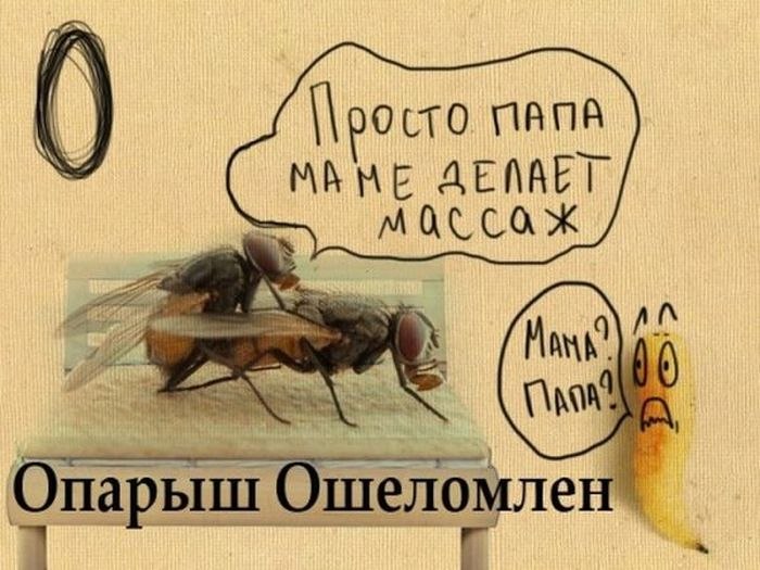 Дмитрий Медников | Ростов-на-Дону