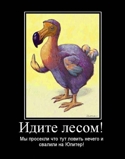 Анна Андерсен | 