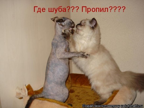 Александр Пьяных | Заозерск