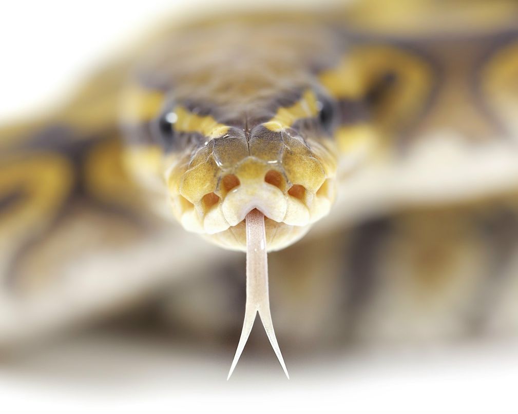 Татьяна Васильева | Санкт-Петербург