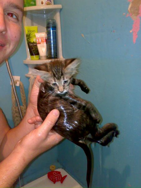 №18, Александр Речкалов №18, Александр Речкалов