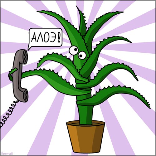 Виталий Соколов Mor_Flot | Санкт-Петербург