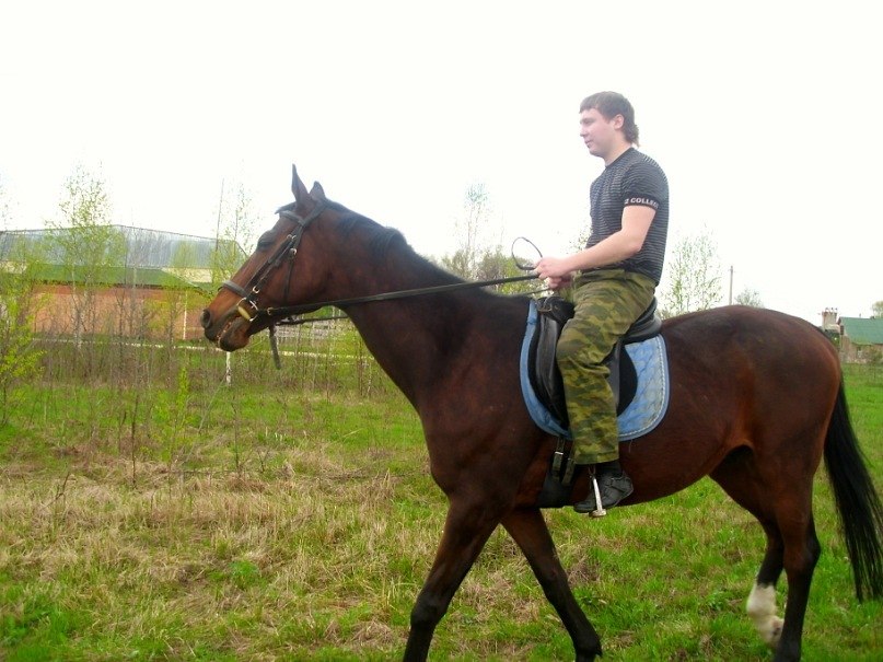 Иван Шикалёнков | Москва