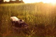 №31 Ксения Щёлокова 31.05: профиль, фото, статус - ВКонтакте