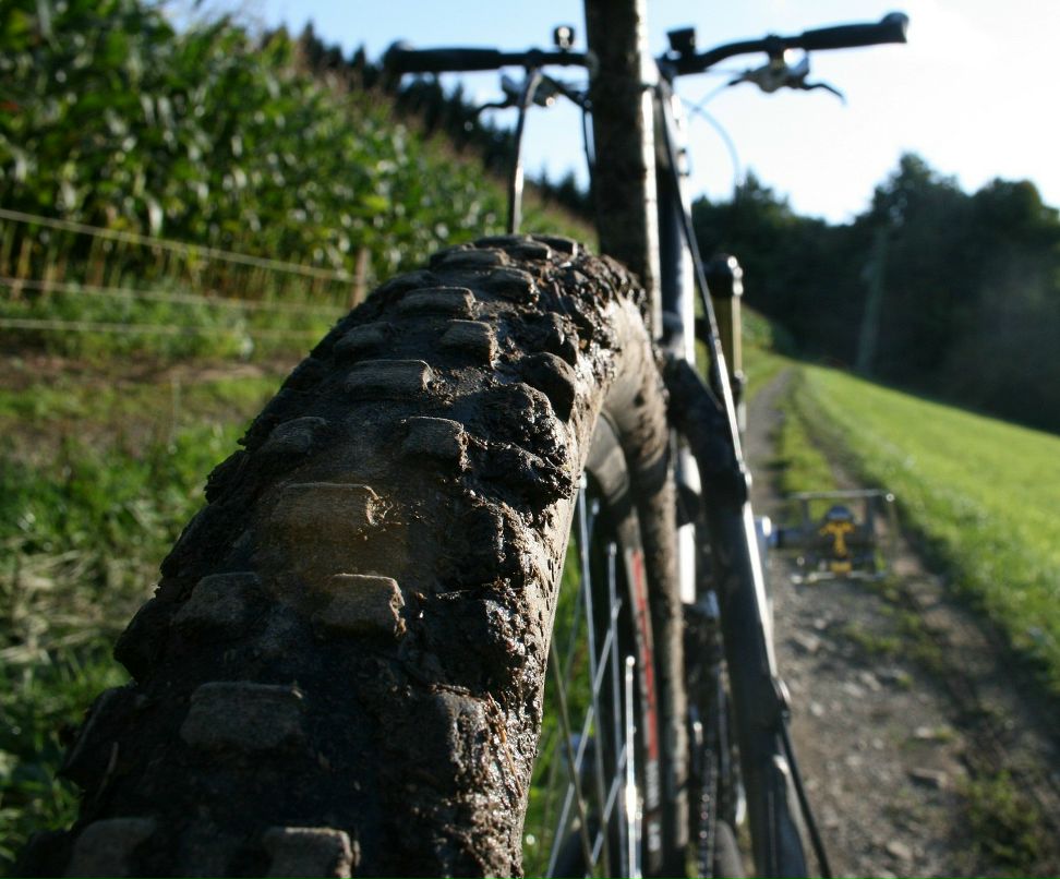 Денис Денисов | Сокол