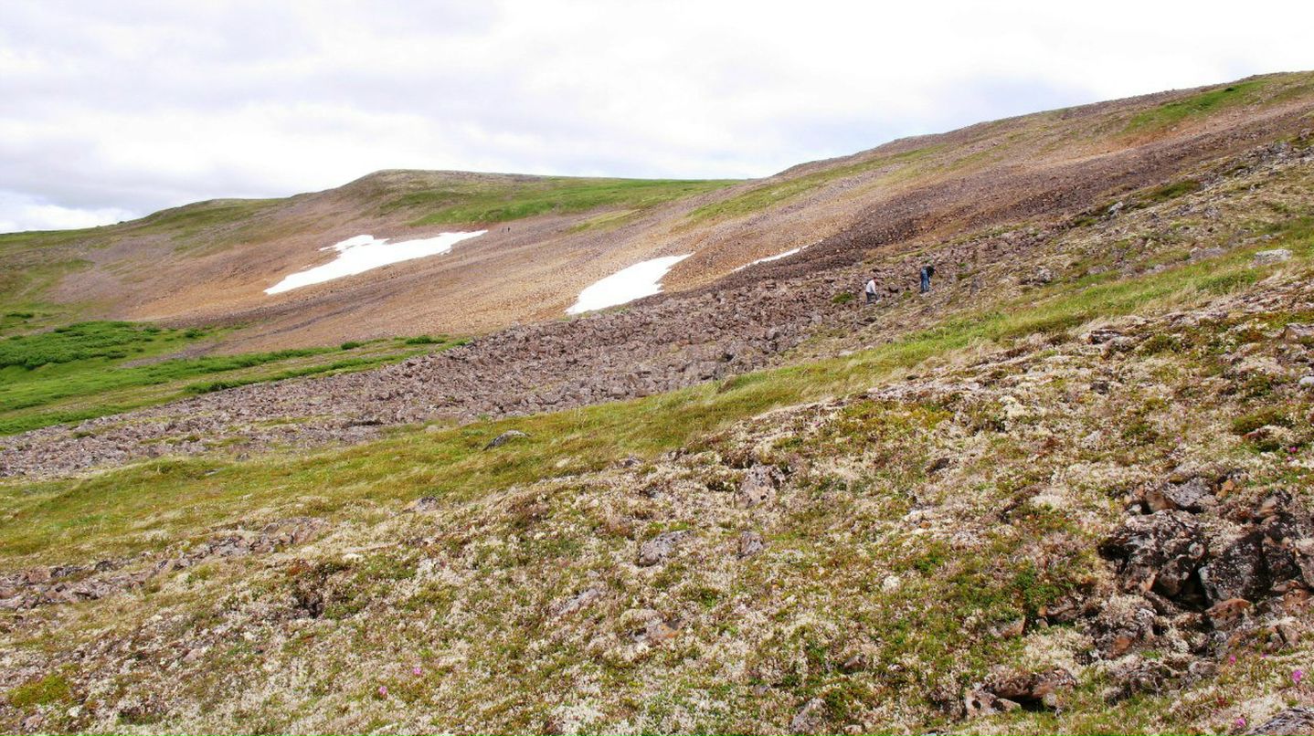 Алексей Масиводов -=Night Tiger=- | Москва