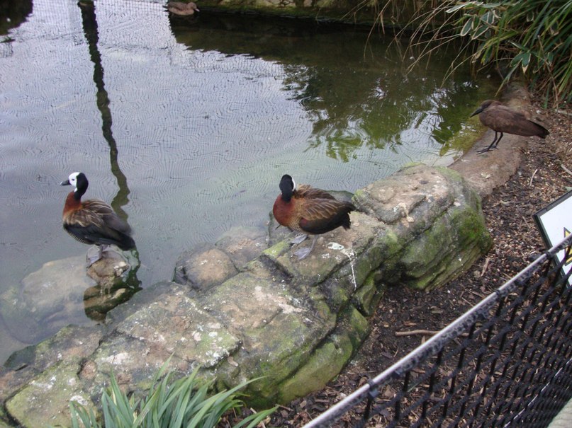 Егор Карпенков | Санкт-Петербург