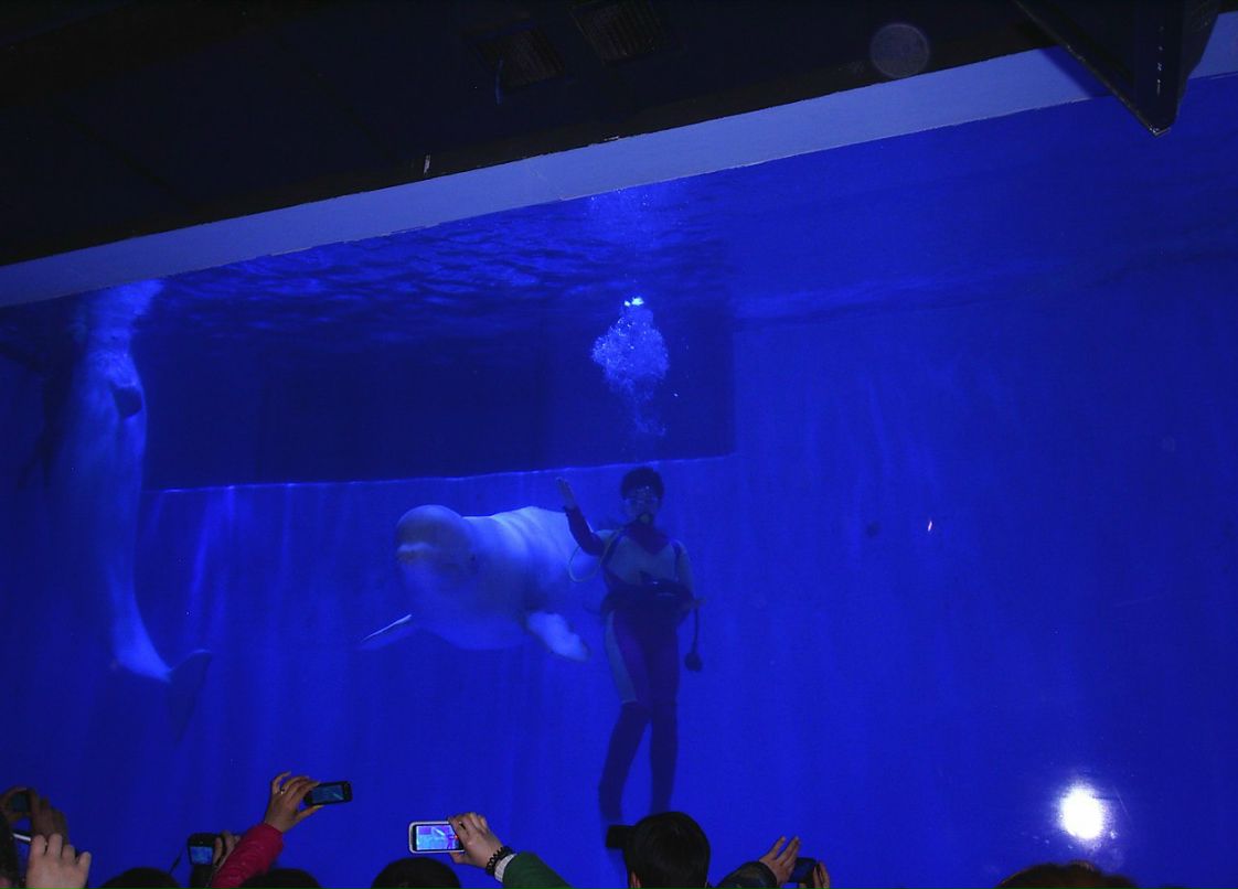 Сергей Пономарев ˙·٠✈ | Новосибирск