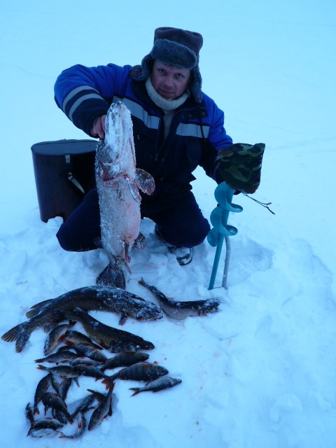 Олег Гусятин | Петрозаводск