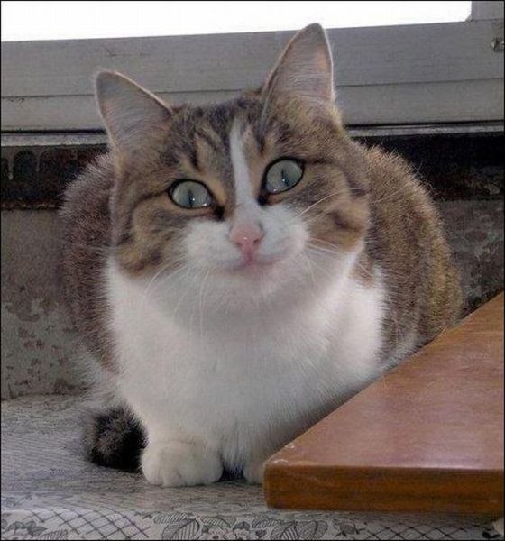 Лёха Павлов | Псков