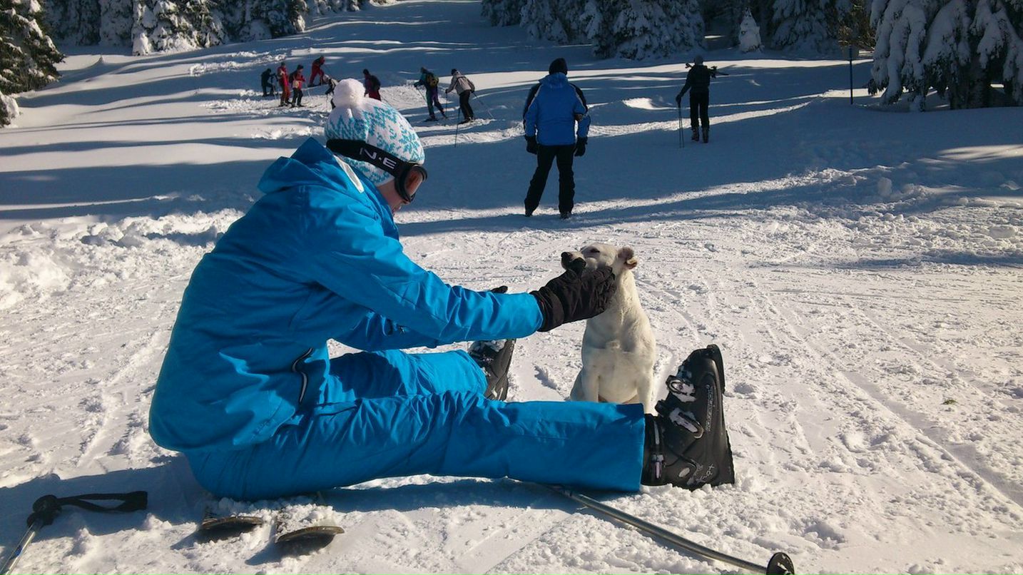 Алина Линник | Краснодар