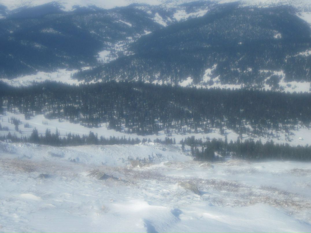 Оля Стренадко | Красноярск