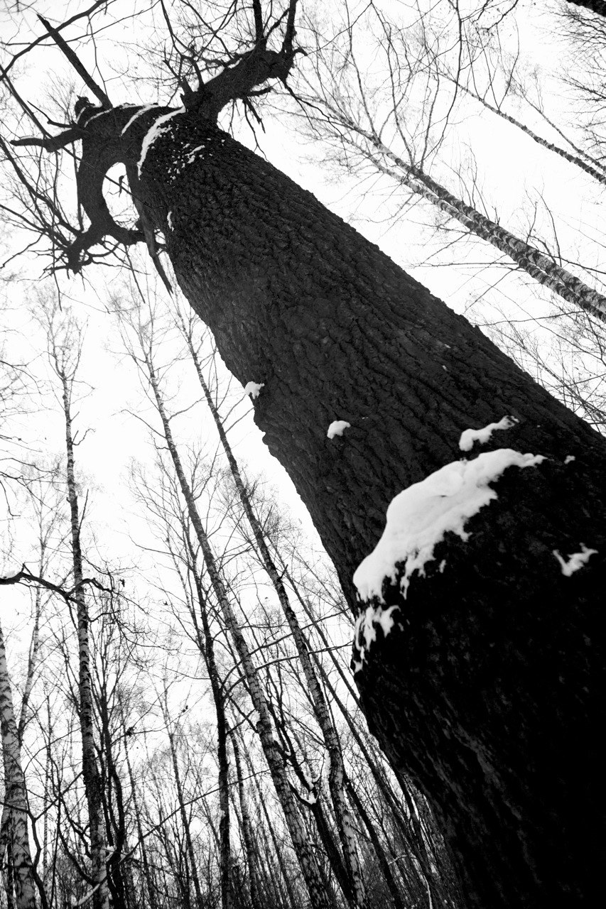 Юлия Кудрявцева | Москва