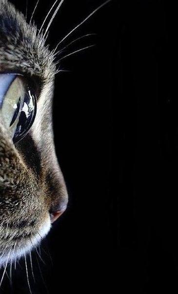 Ольга Воробьёва | Иваново