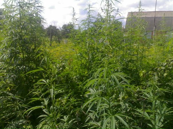 №25, Юра Коваль, Харьков, Украина | ВКонтакте №25, Юра Коваль, Харьков, Украина | ВКонтакте