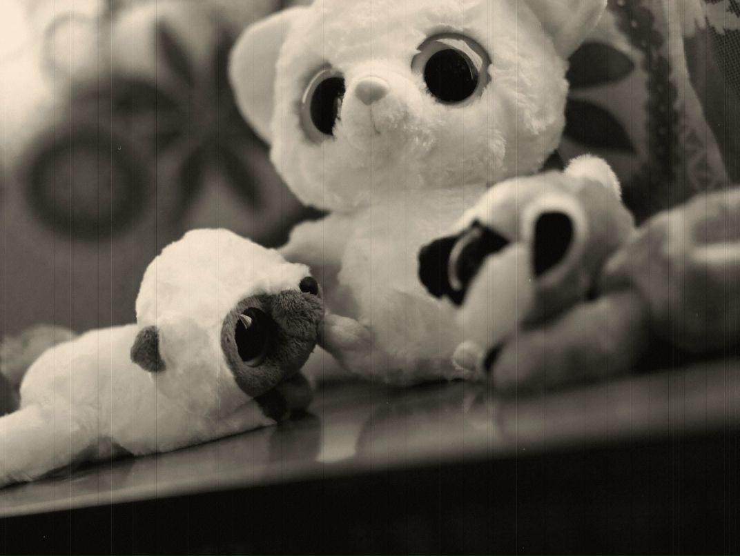 Sergey Braidicov | Санкт-Петербург