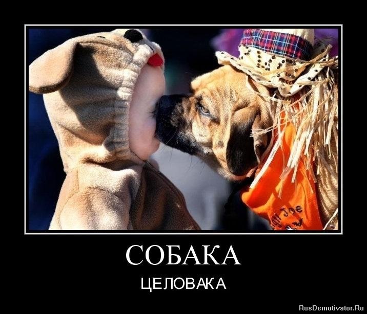 Андрей Лефутуренко | Киев