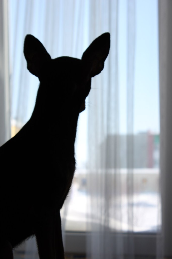 Мария Бессонова | Краснотурьинск