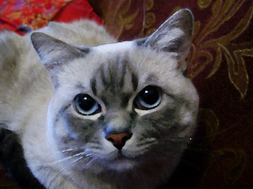 Евгения Криворучко | 