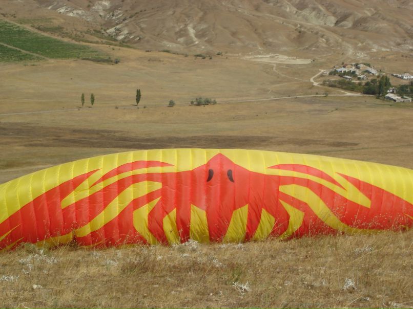 Ольга Белкина | Харьков