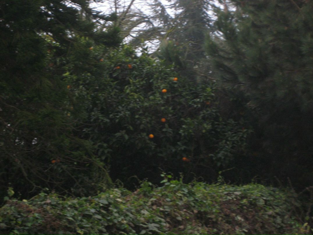 Сергей Бутов | Санкт-Петербург