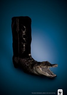 Mariya Hummingbird Nektarinka | Tokyo