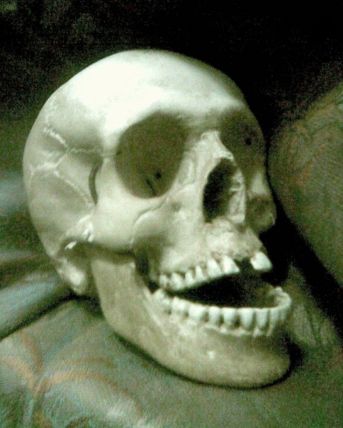 №5, Динар Шамарданов №5, Динар Шамарданов