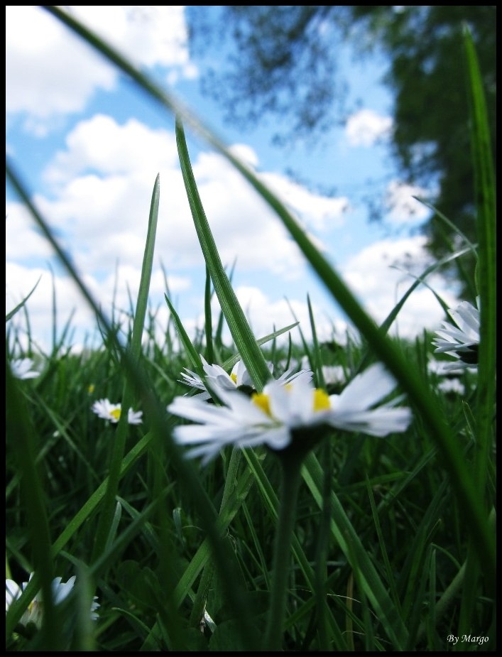 Маша Гаманенко | Киев