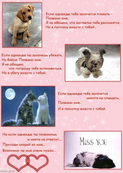 №92, Ируська Галкина №92, Ируська Галкина