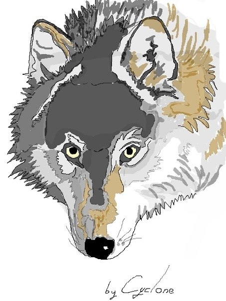 Андрей Еремеев | Мирный