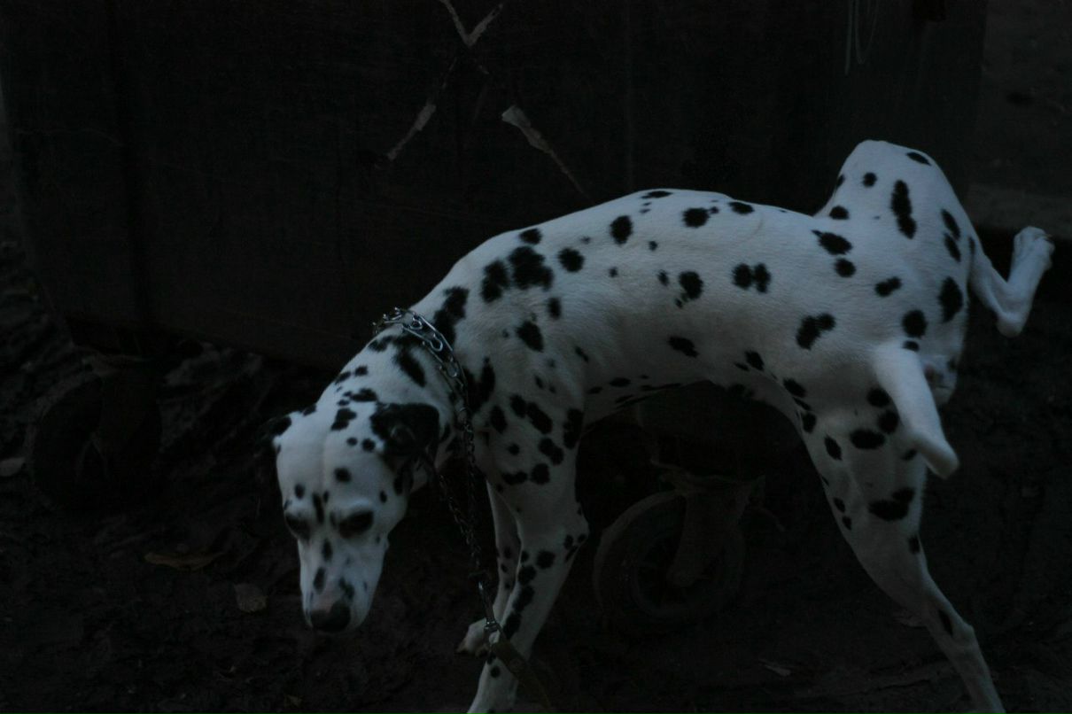 Славик Аджигитов | Москва