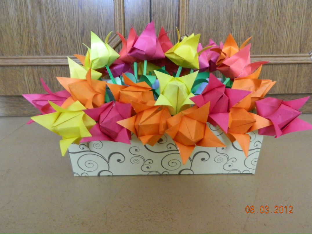 Ксения Каткова | Тарту