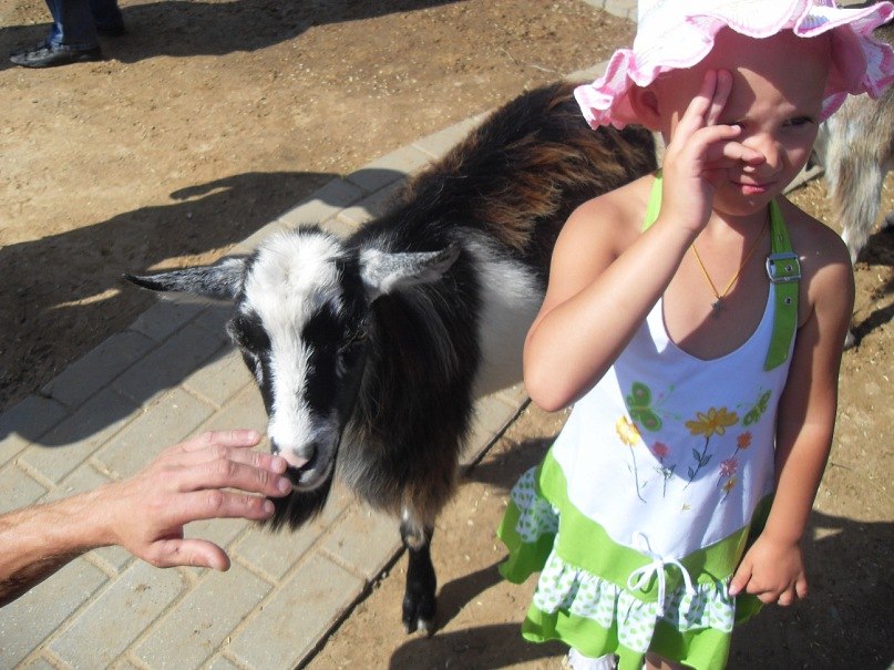 Елена Козырева | Луга