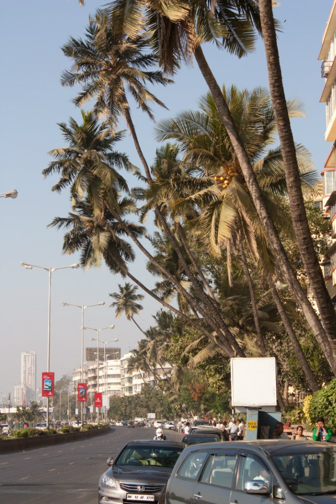 Александр Залесов zall | Москва