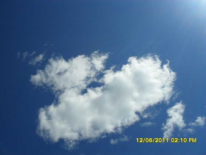 Sergei Shazamov | Нижний Новгород