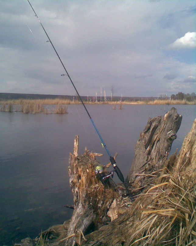 Сергей Батаргин | 