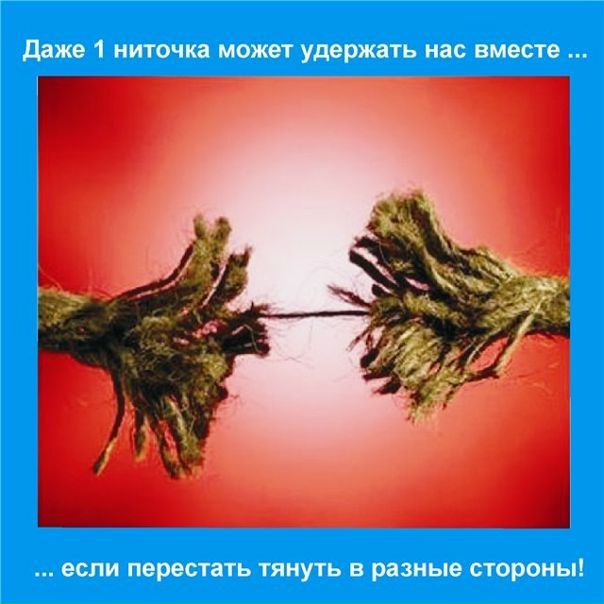 №52, Антон Чаплінський, Киев №52, Антон Чаплінський, Киев