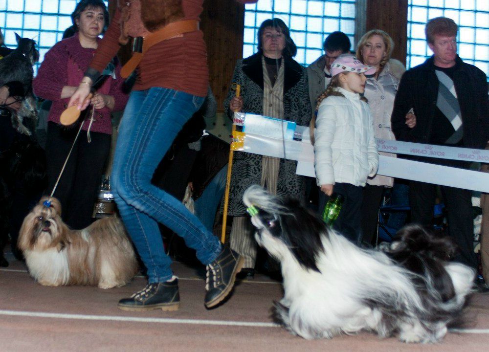 Оля Фартушна | Кривой Рог