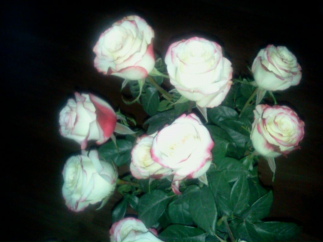 Марина Кириченко | Городище