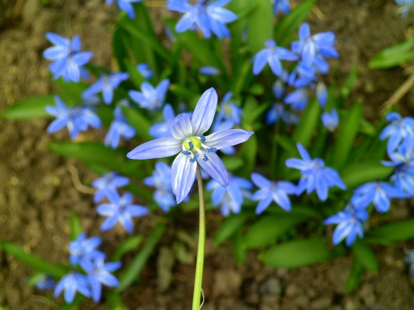 Анастасия Жарикова | Тирасполь