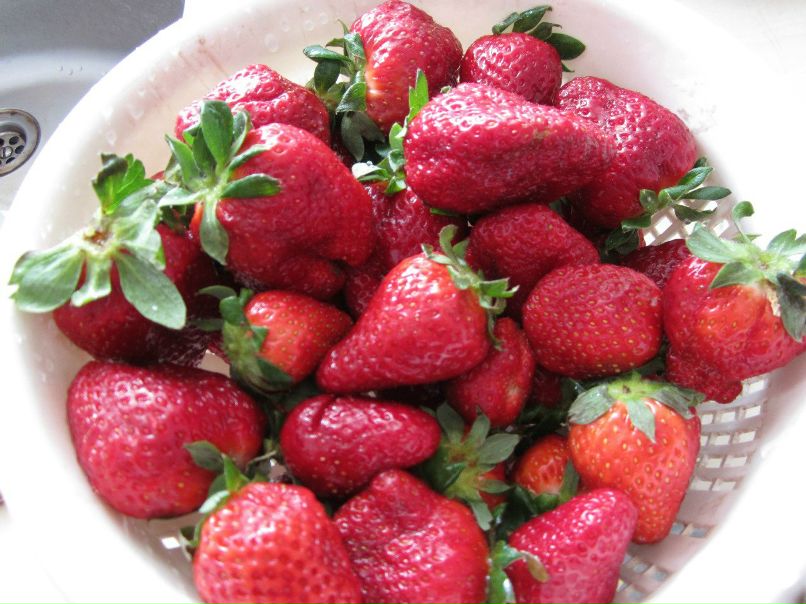 Елена Лукина | Петрозаводск