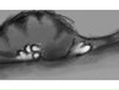 Ольга Манильчук | Архангельск