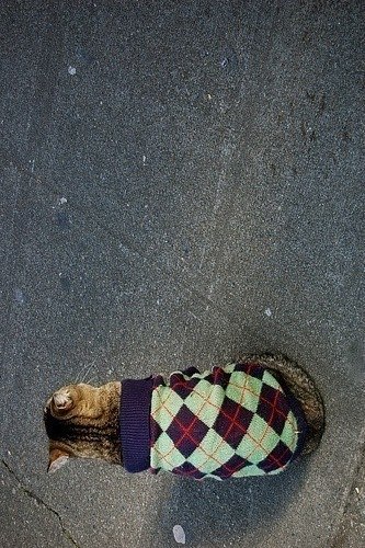 Айдар Хамидуллин | Чистополь