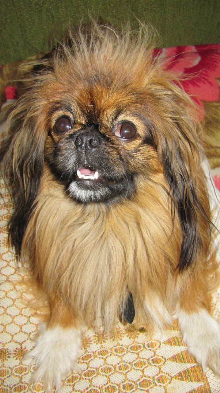 Катя Новіцька | 